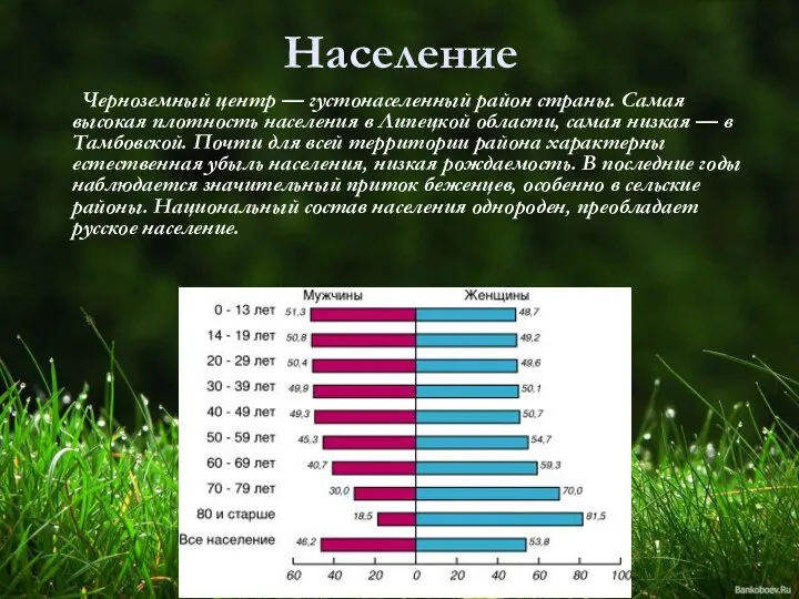 Население Черноземный центр — густонаселенный район страны. Самая высокая плотность населения