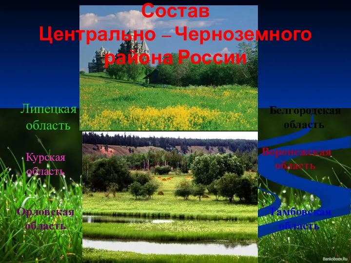 Состав Центрально – Черноземного района России Липецкая область Курская область Орловская