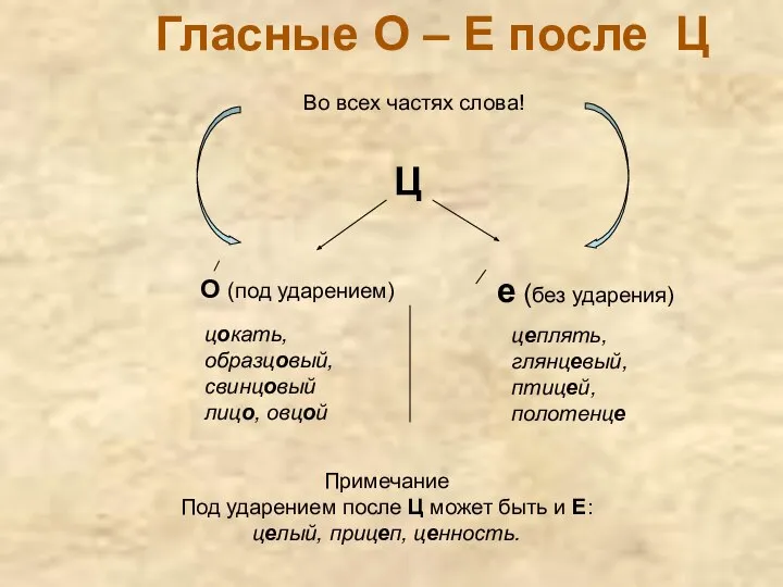 Гласные О – Е после Ц Ц О (под ударением) е