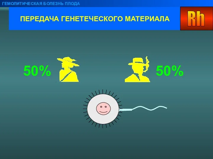 ПЕРЕДАЧА ГЕНЕТЕЧЕСКОГО МАТЕРИАЛА ГЕМОЛИТИЧЕСКАЯ БОЛЕЗНЬ ПЛОДА 50% 50%