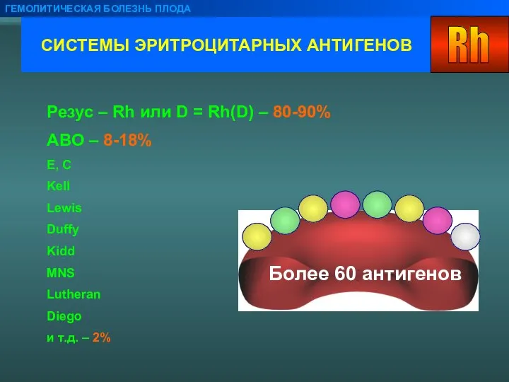 СИСТЕМЫ ЭРИТРОЦИТАРНЫХ АНТИГЕНОВ ГЕМОЛИТИЧЕСКАЯ БОЛЕЗНЬ ПЛОДА Резус – Rh или D