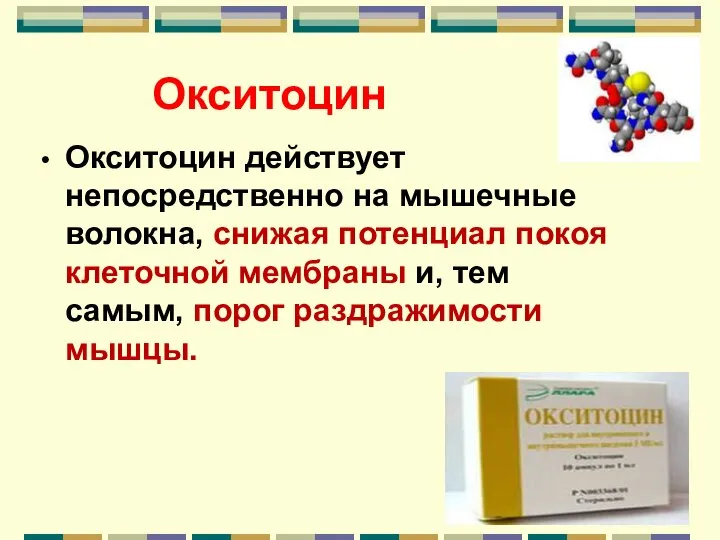 Окситоцин Окситоцин действует непосредственно на мышечные волокна, снижая потенциал покоя клеточной