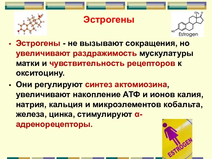 Эстрогены Эстрогены - не вызывают сокращения, но увеличивают раздражимость мускулатуры матки