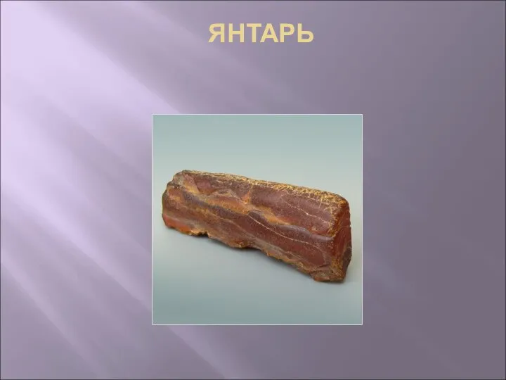 ЯНТАРЬ