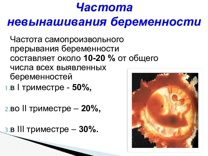 Частота самопроизвольного прерывания беременности составляет около 10-20 % от общего числа