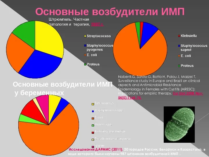 Основные возбудители ИМП Штрюмпель. Частная патология и терапия, 1907 г. Исследования