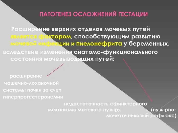 ПАТОГЕНЕЗ ОСЛОЖНЕНИЙ ГЕСТАЦИИ Расширение верхних отделов мочевых путей является фактором, способствующим