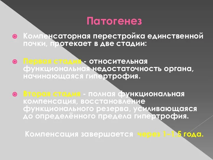 Патогенез Компенсаторная перестройка единственной почки, протекает в две стадии: Первая стадия