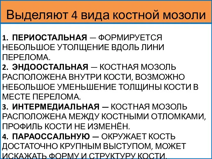 1. ПЕРИОСТАЛЬНАЯ — ФОРМИРУЕТСЯ НЕБОЛЬШОЕ УТОЛЩЕНИЕ ВДОЛЬ ЛИНИ ПЕРЕЛОМА. 2. ЭНДООСТАЛЬНАЯ