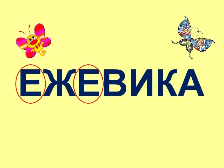 ЕЖЕВИКА