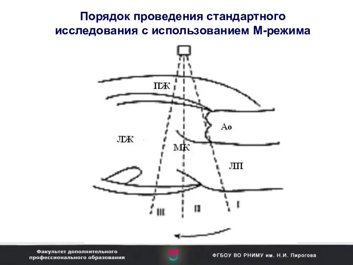 Порядок проведения стандартного исследования с использованием М-режима