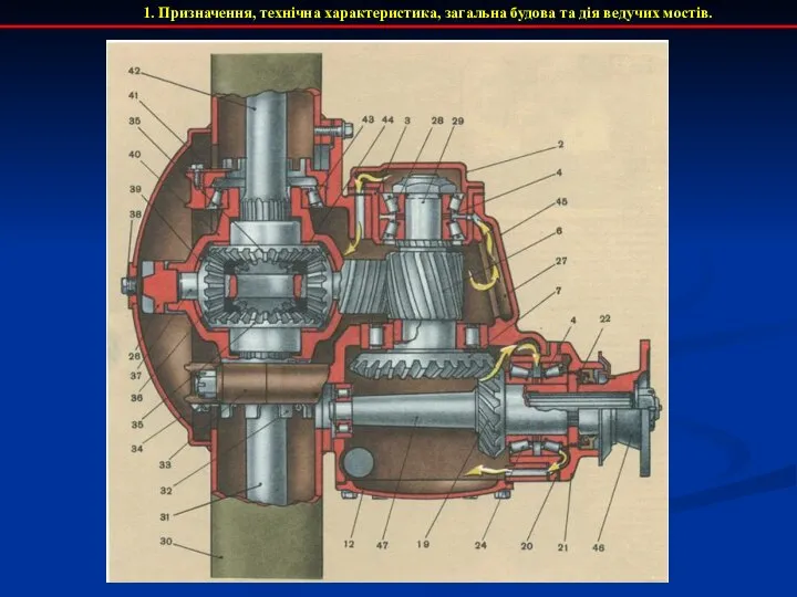 1. Призначення, технічна характеристика, загальна будова та дія ведучих мостів.