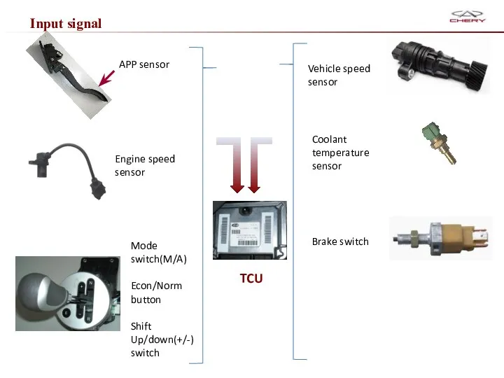 Input signal TCU APP sensor Brake switch Mode switch(M/A) Econ/Norm button