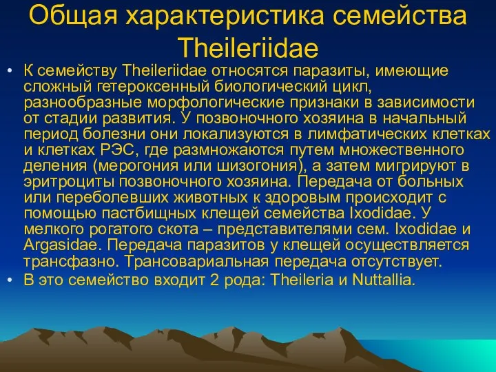 Общая характеристика семейства Theileriidae К семейству Theileriidae относятся паразиты, имеющие сложный