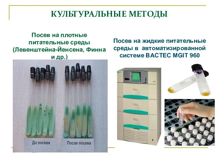 КУЛЬТУРАЛЬНЫЕ МЕТОДЫ Посев на плотные питательные среды (Левенштейна-Йенсена, Финна и др.)