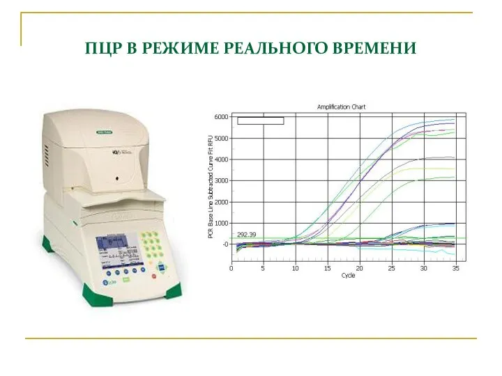 ПЦР В РЕЖИМЕ РЕАЛЬНОГО ВРЕМЕНИ