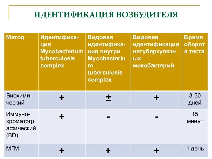 ИДЕНТИФИКАЦИЯ ВОЗБУДИТЕЛЯ