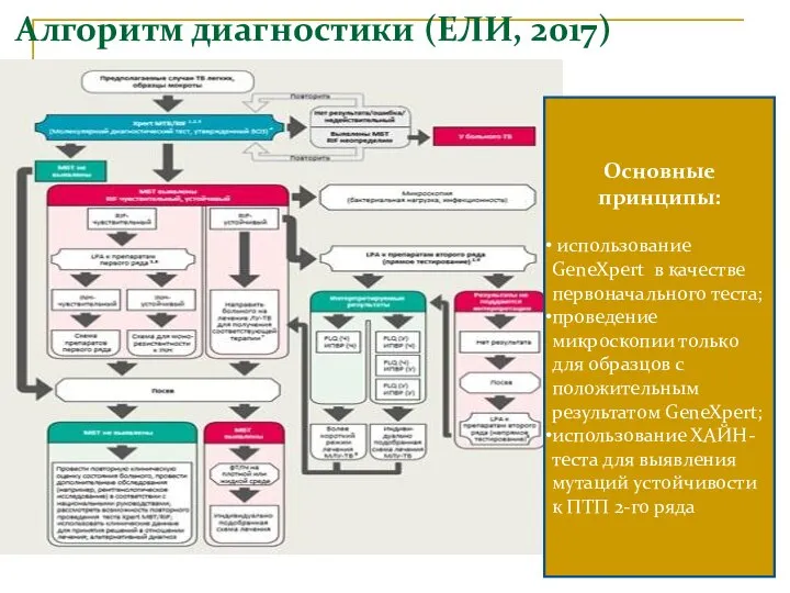 Алгоритм диагностики (ЕЛИ, 2017) Основные принципы: использование GeneXpert в качестве первоначального