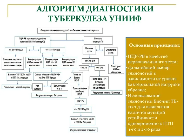 АЛГОРИТМ ДИАГНОСТИКИ ТУБЕРКУЛЕЗА УНИИФ Основные принципы: ПЦР-РВ в качестве первоначального теста;