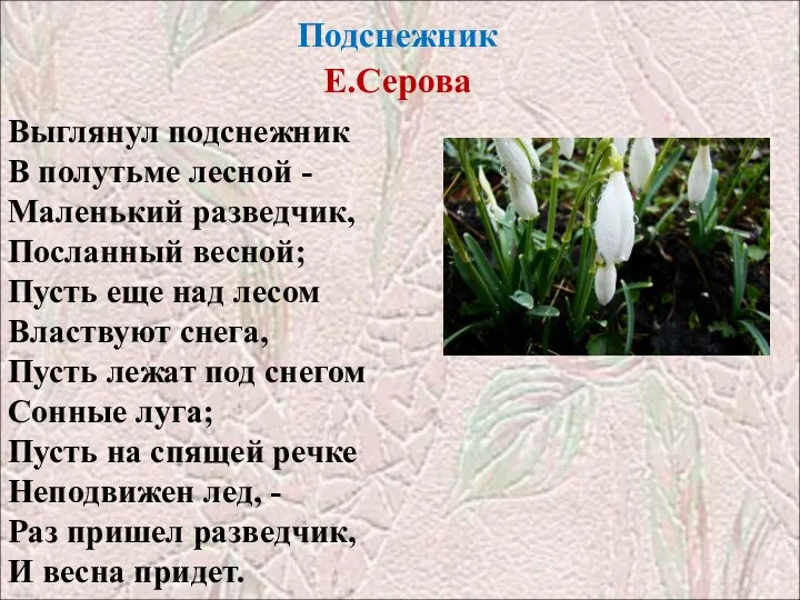 Подснежник Е.Серова Выглянул подснежник В полутьме лесной - Маленький разведчик, Посланный