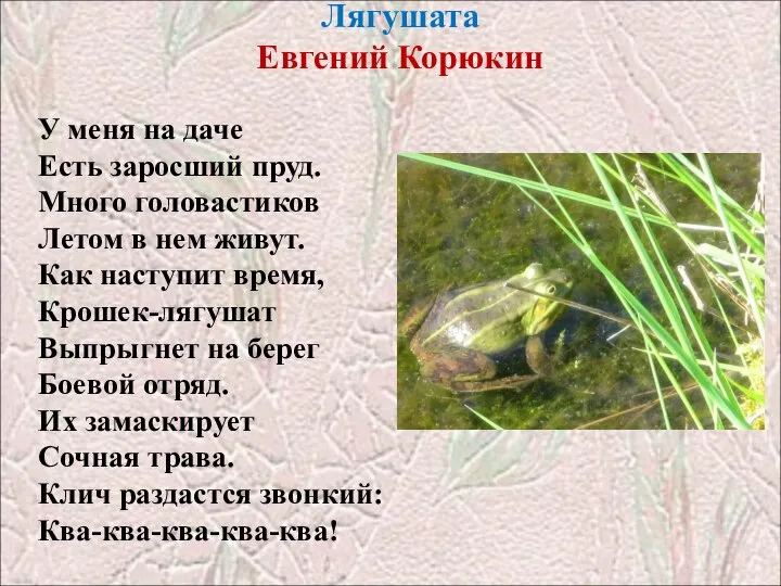 Лягушата Евгений Корюкин