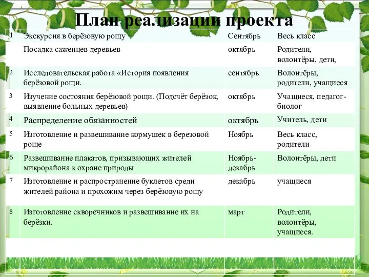 План реализации проекта