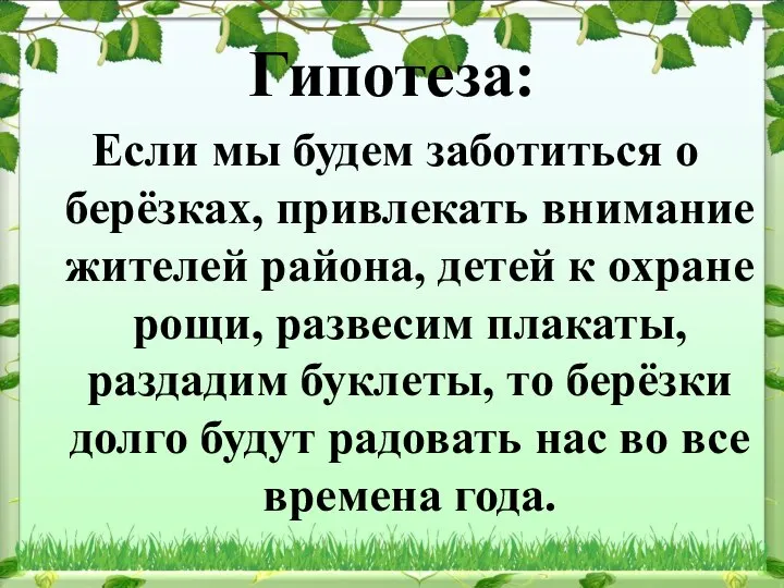 Гипотеза: Если мы будем заботиться о берёзках, привлекать внимание жителей района,