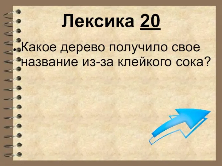 Лексика 20 Какое дерево получило свое название из-за клейкого сока?