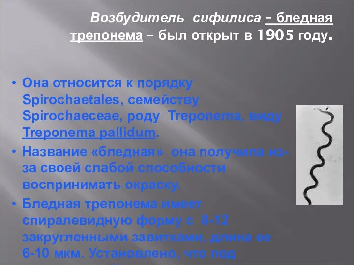 Возбудитель сифилиса – бледная трепонема – был открыт в 1905 году.