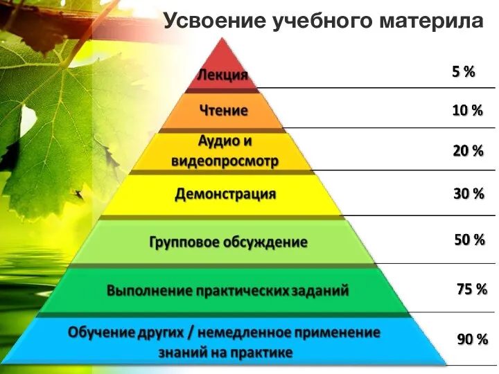 Усвоение учебного материла