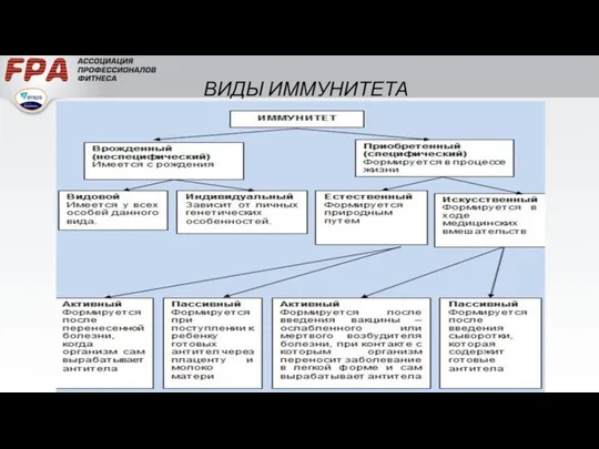 ВИДЫ ИММУНИТЕТА