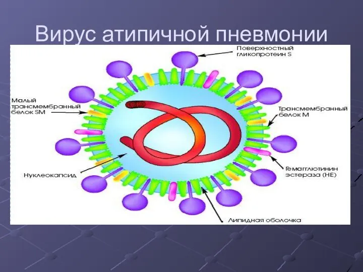 Вирус атипичной пневмонии