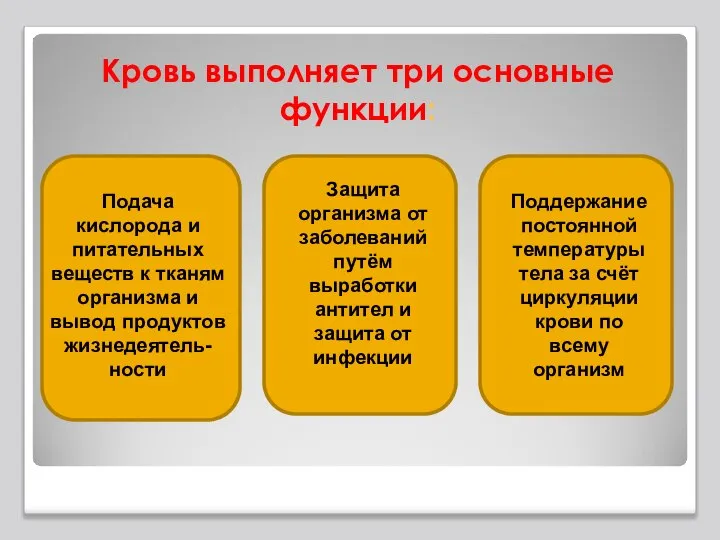 Кровь выполняет три основные функции: Подача кислорода и питательных веществ к