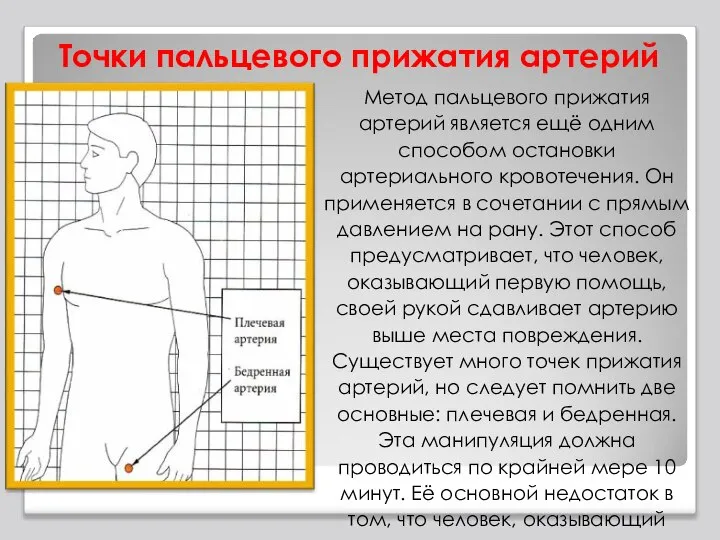 Точки пальцевого прижатия артерий Метод пальцевого прижатия артерий является ещё одним