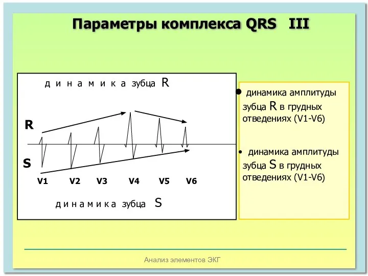Анализ элементов ЭКГ д и н а м и к а