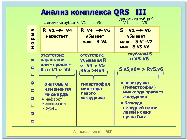 Анализ элементов ЭКГ Анализ комплекса QRS III R V1 V4 R