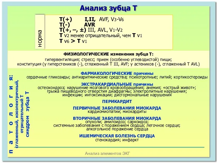 Анализ элементов ЭКГ Анализ зубца Т Т(+) I,II, AVF, V3-V6 Т(-)