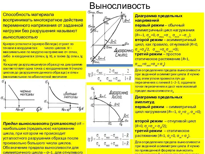 Выносливость