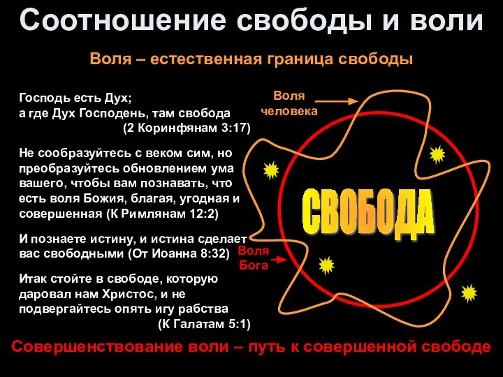 Соотношение свободы и воли Воля человека Воля – естественная граница свободы