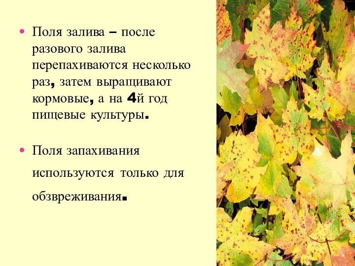 Поля залива – после разового залива перепахиваются несколько раз, затем выращивают