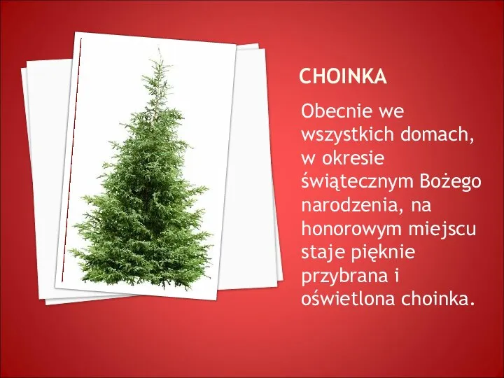 CHOINKA Obecnie we wszystkich domach, w okresie świątecznym Bożego narodzenia, na