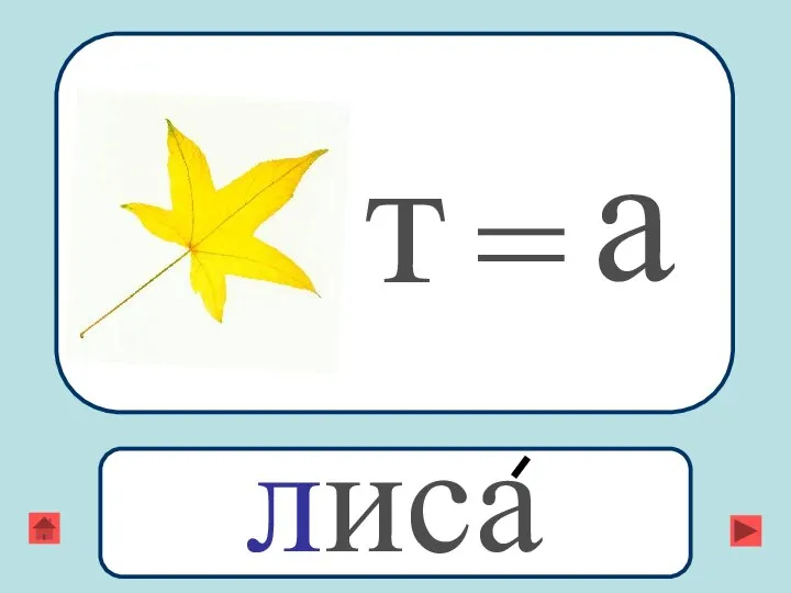 т = а лиса