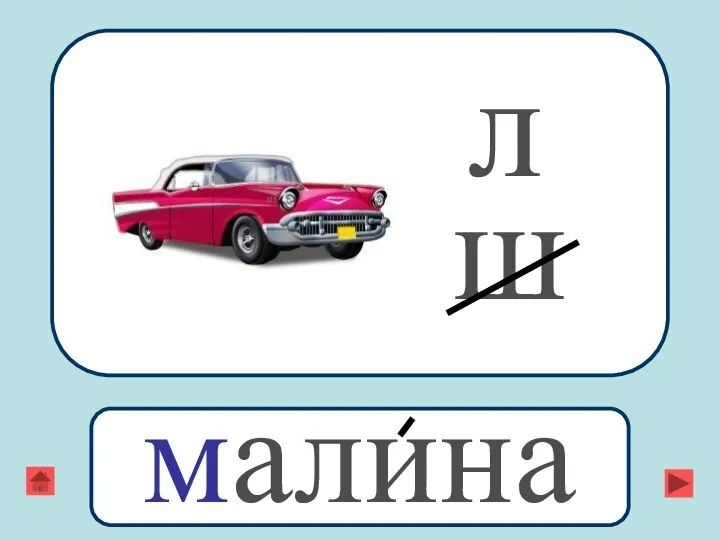 л ш малина