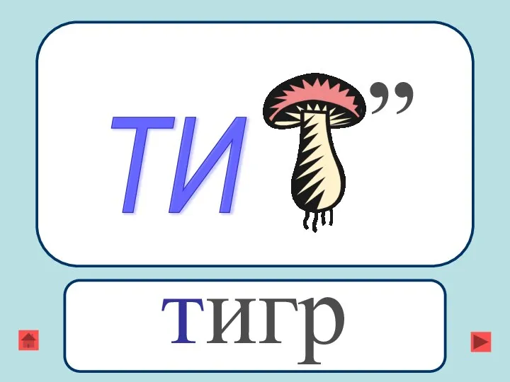 ТИ ,, тигр