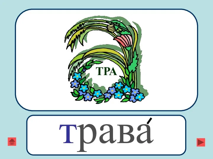 ТРА трава