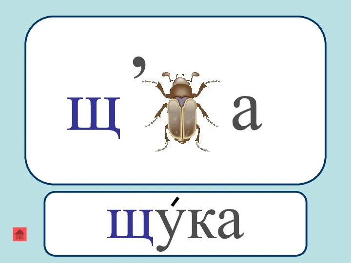 щ , а щука