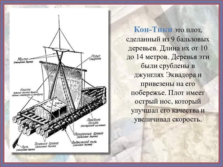 Кон-Тики это плот, сделанный из 9 бальзовых деревьев. Длина их от