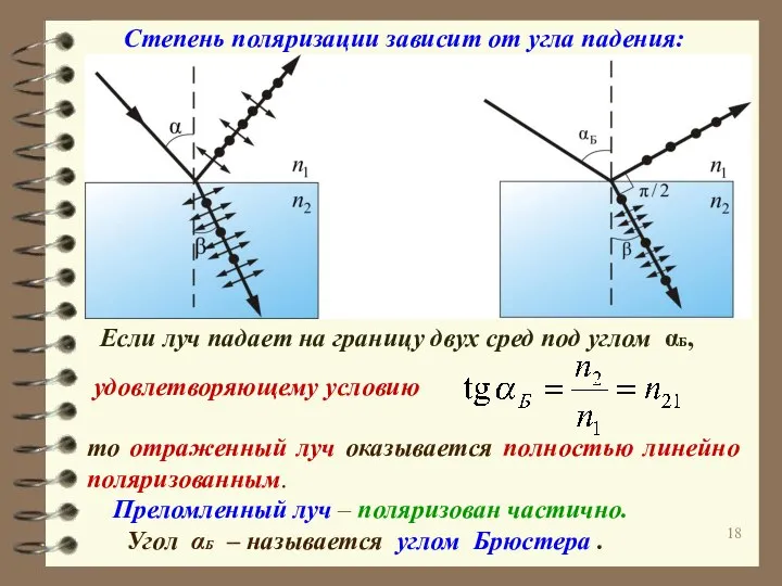 то отраженный луч оказывается полностью линейно поляризованным. Преломленный луч – поляризован