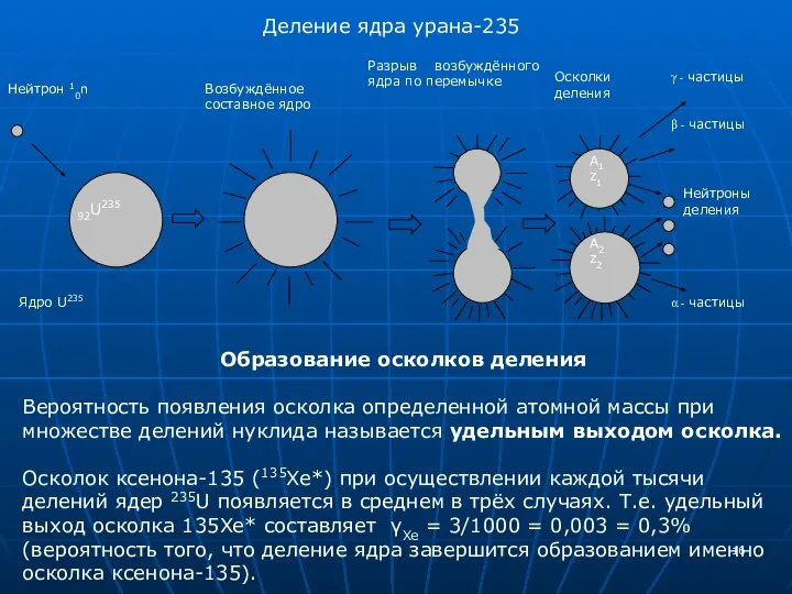 Деление ядра урана-235 Образование осколков деления Вероятность появления осколка определенной атомной