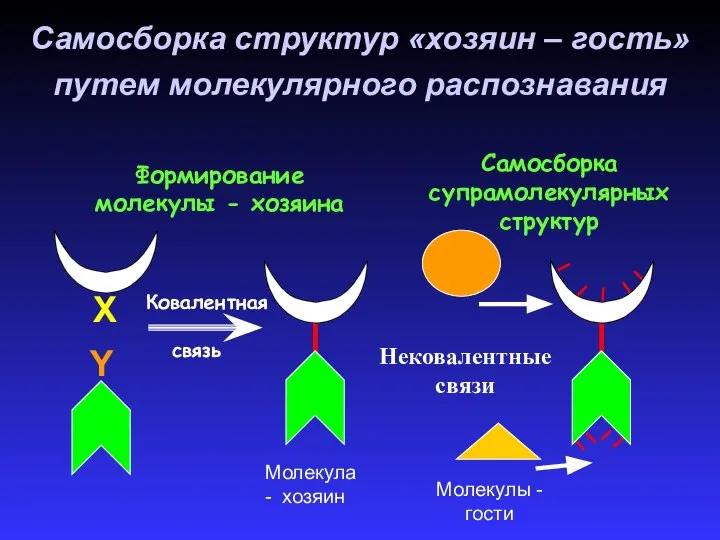 Самосборка структур «хозяин – гость» путем молекулярного распознавания Молекула - хозяин